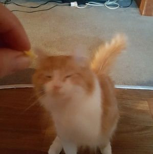 Meet your Posher, Marykay